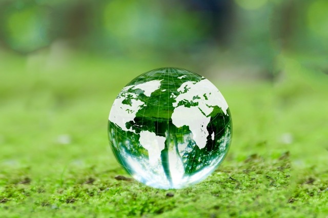 成熟期イメージ（エコ）